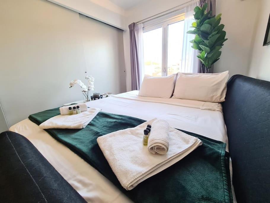 雅典Heated Plunge Pool & Firepit Acropolis Penthouse公寓 外观 照片